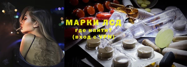 PSILOCYBIN Вязьма