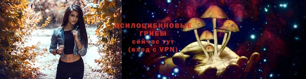 героин Вяземский