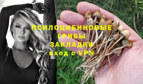 героин Вяземский