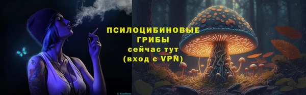 ешки Вязники