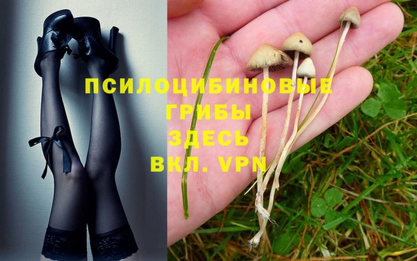 прущие грибы Володарск