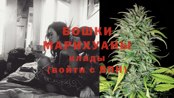 PSILOCYBIN Вязьма