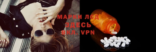прущие грибы Володарск