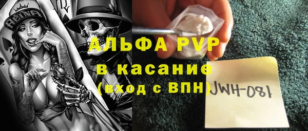 PSILOCYBIN Вязьма