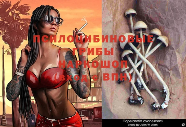 ешки Вязники